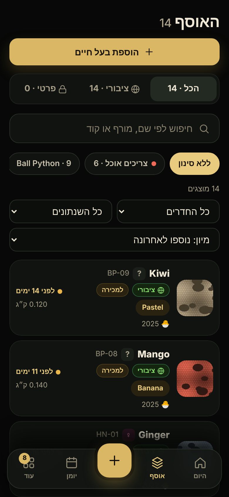 האוסף בנייד – נייד